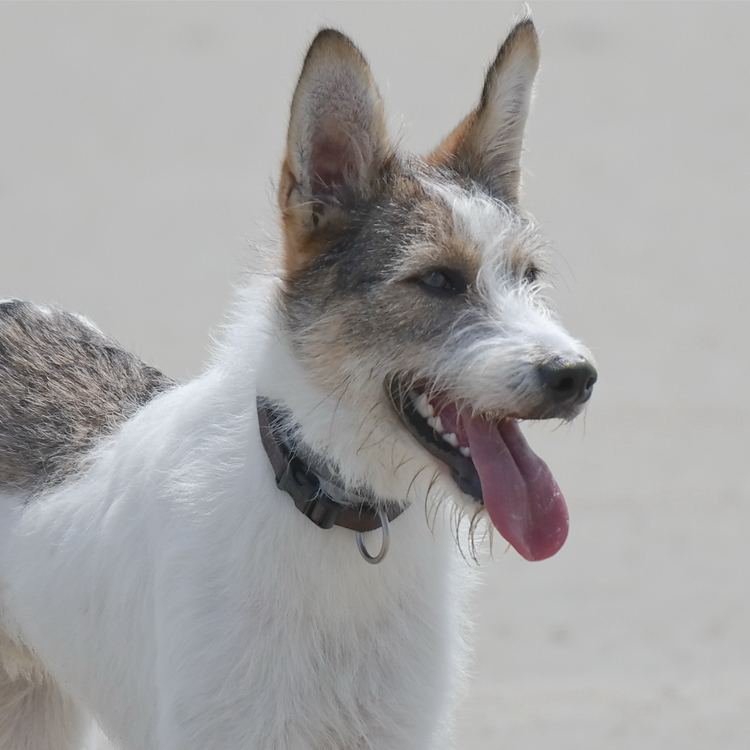 1 -- Felix Holland 6 - 2013 _SAM_2412 als Smart-Objekt-1 Kopie.jpg